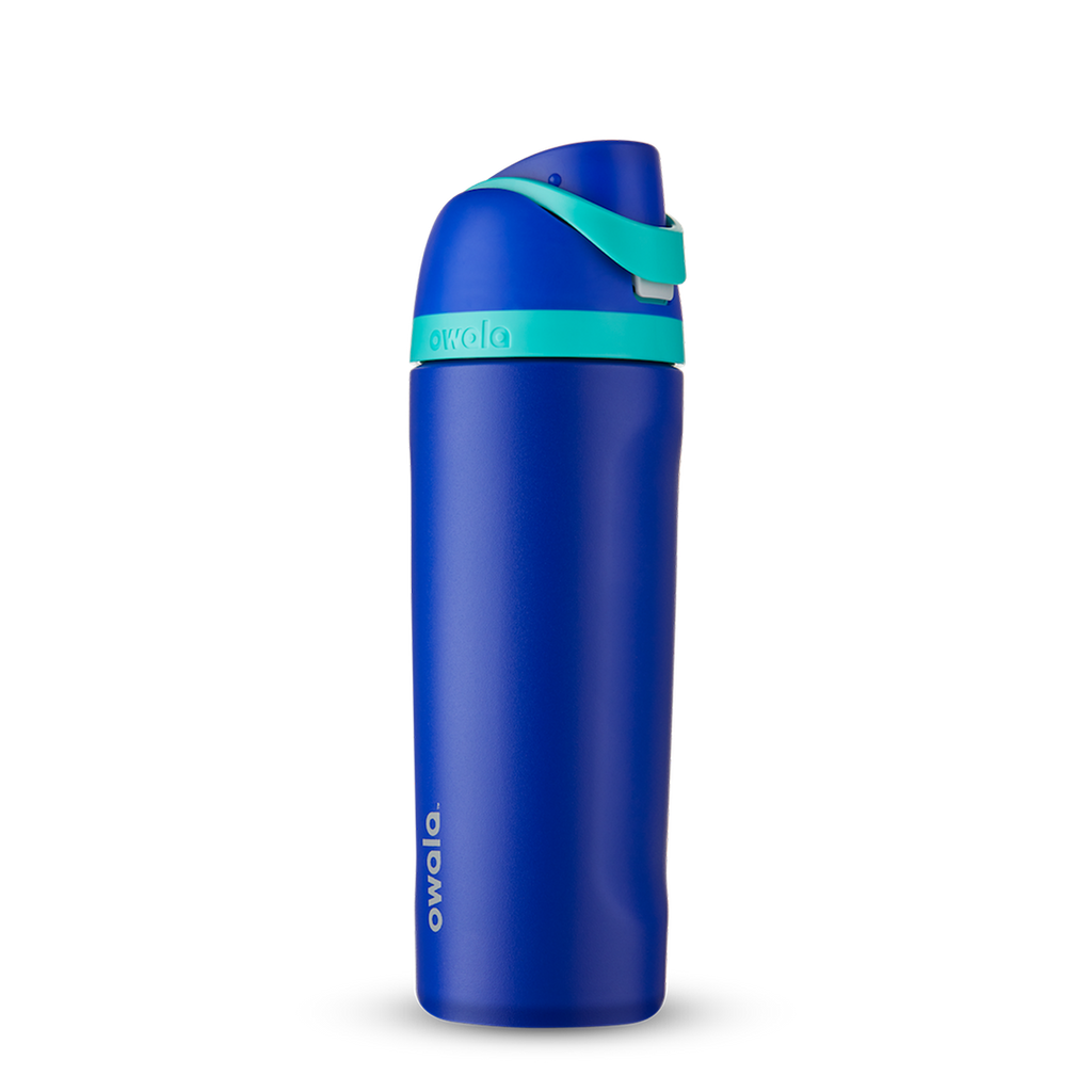 19oz Smooshed Blueberry Stainless Steel Insulated Owala FreeSip Water Bottle